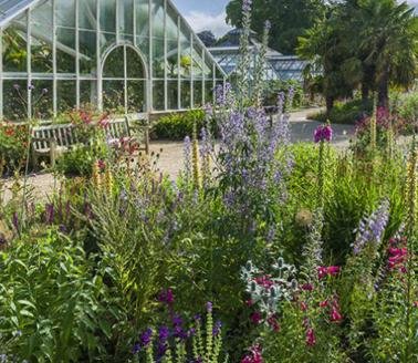 Cambridge University Botanic Garden, photo by Howard Rice